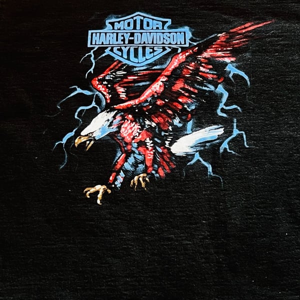 Harley-Davidson Huntington Beach California Eagle Lightning Graphic T-Shirt