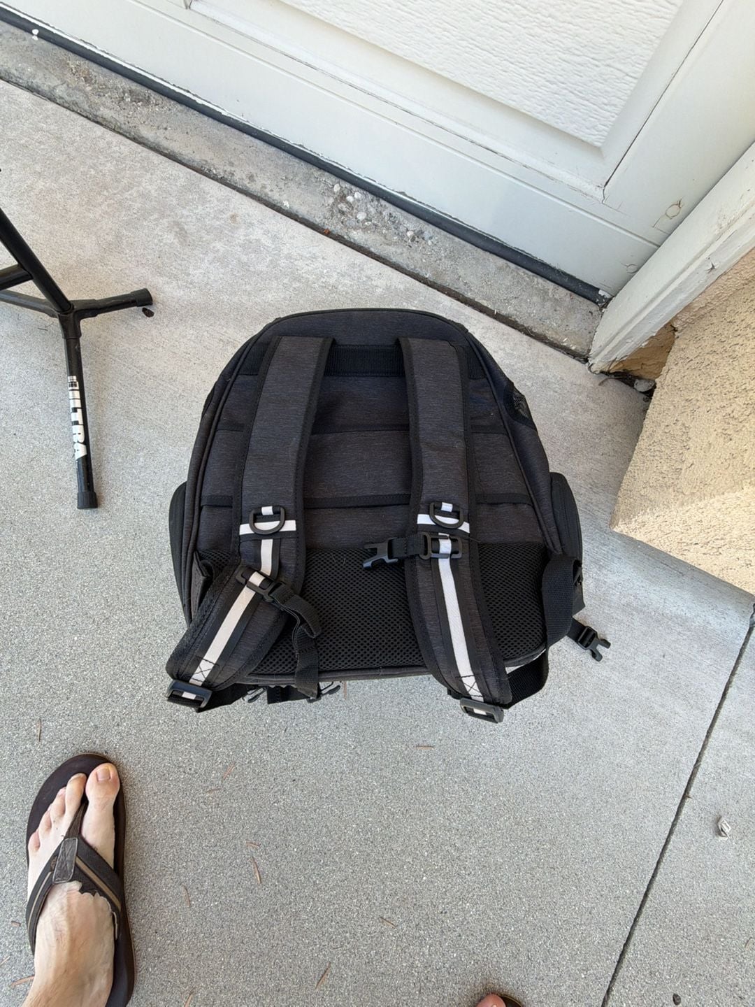 Animal backpack carrier 3