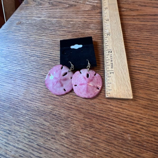 Pink Natural Sand Dollar Dangle Earrings