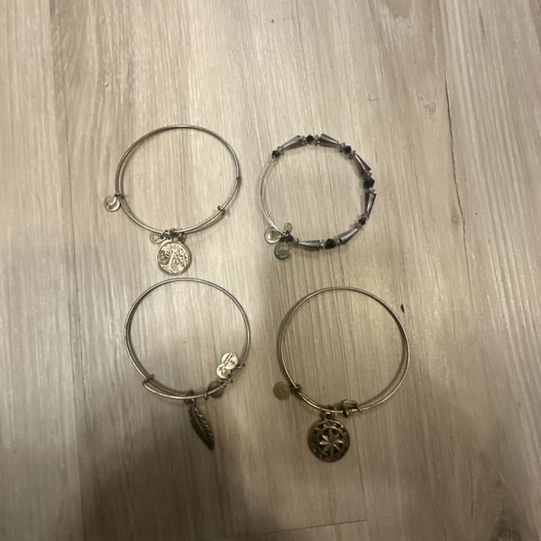 Alex and Ani Expandable Bangle Bracelets - Set of 4 Assorted Charms