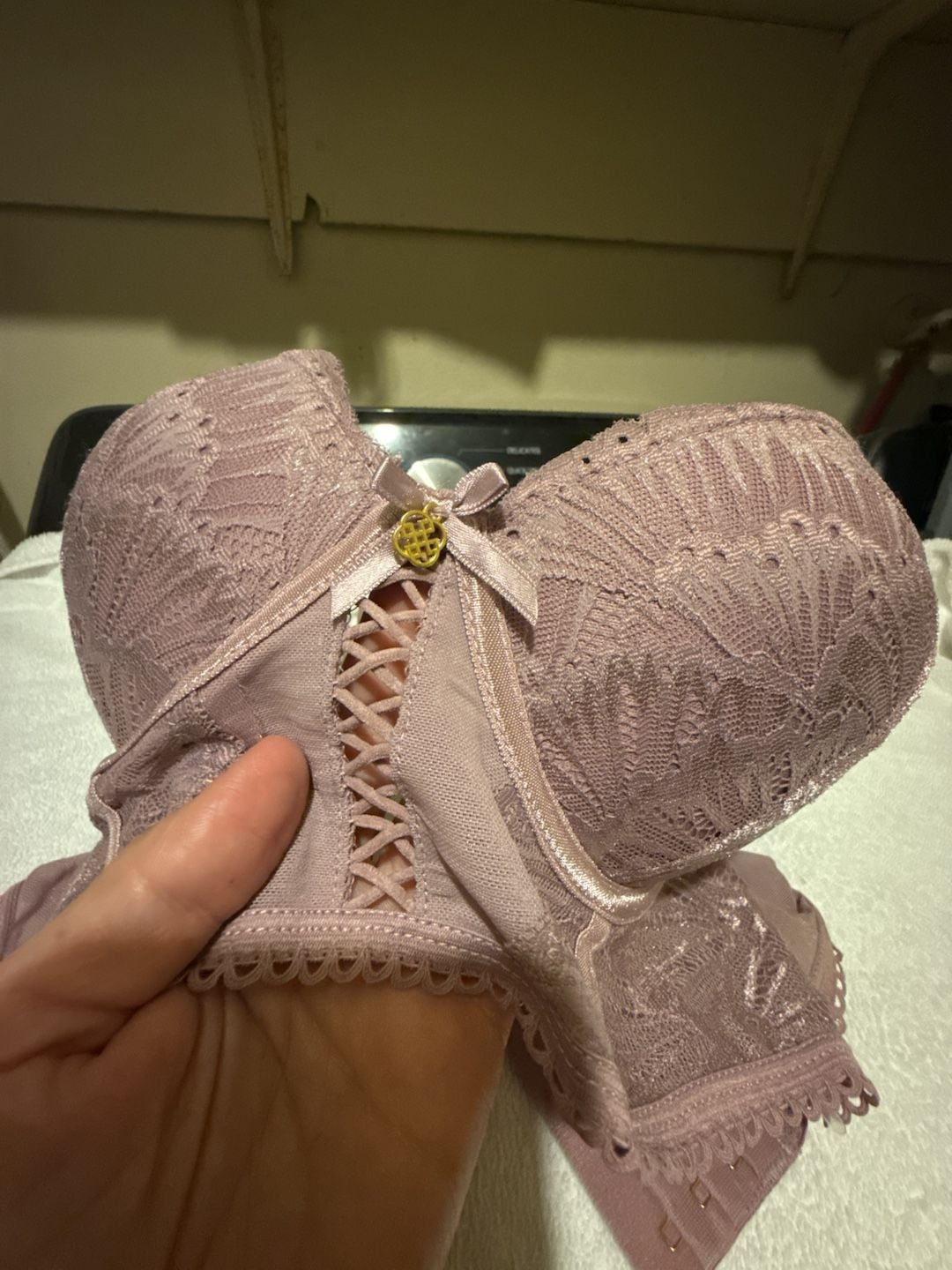 Daisy Fuentes Mauve Lace Padded Underwire Bra Size 36B 2
