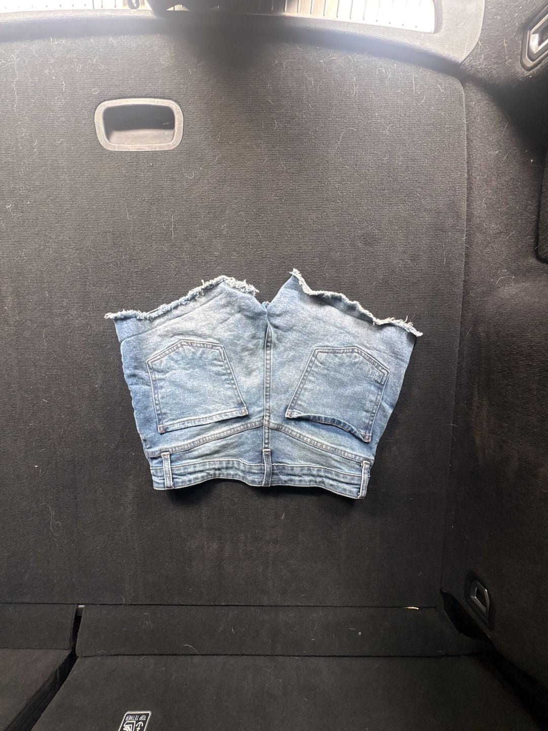 Kut from the Kloth Jane High Rise Distressed Denim Shorts 2