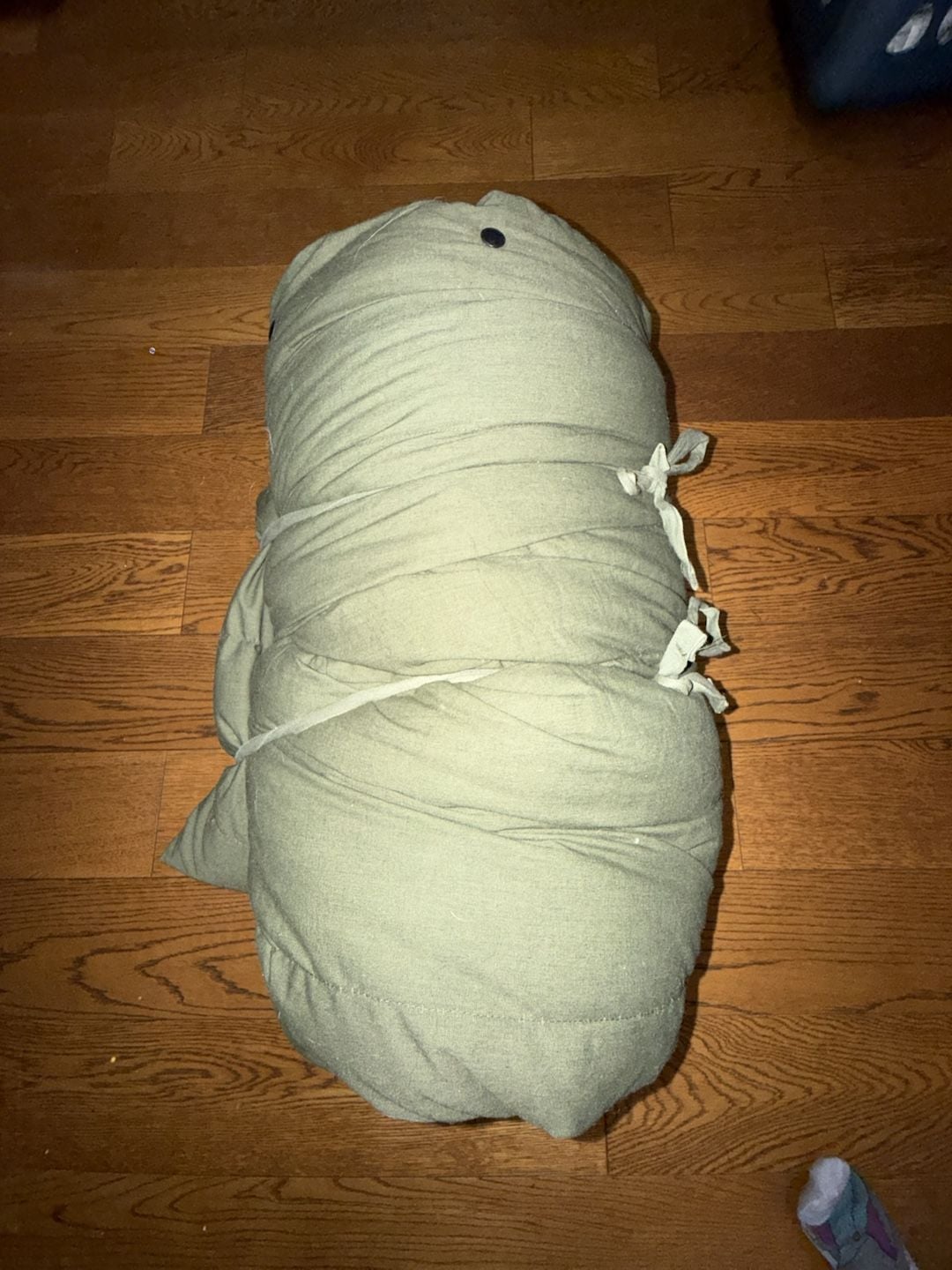 US Military Extreme Cold Weather Down and Polyester Mummy Sleeping Bag 5
