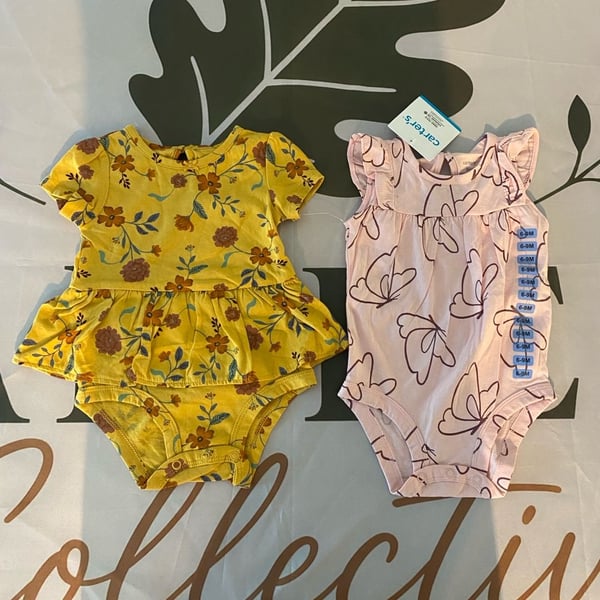 Carter's Baby Girl 9M 2-Piece Bodysuit Set (Floral Peplum and Butterfly Flutter Sleeve)