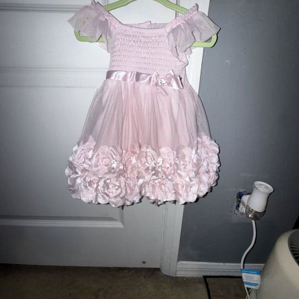 Nannette Baby Pink Flutter Sleeve Dress with Rosette Skirt