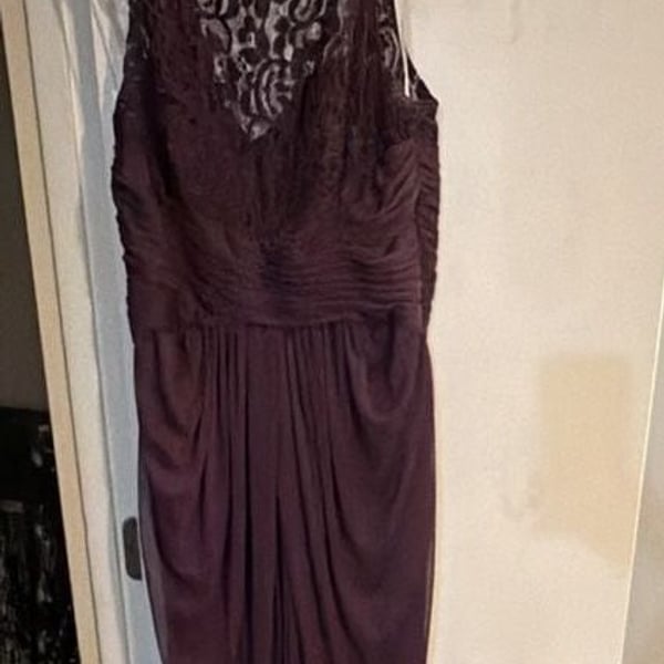 David's Bridal Plum Lace Illusion Neckline Bridesmaid Formal Gown