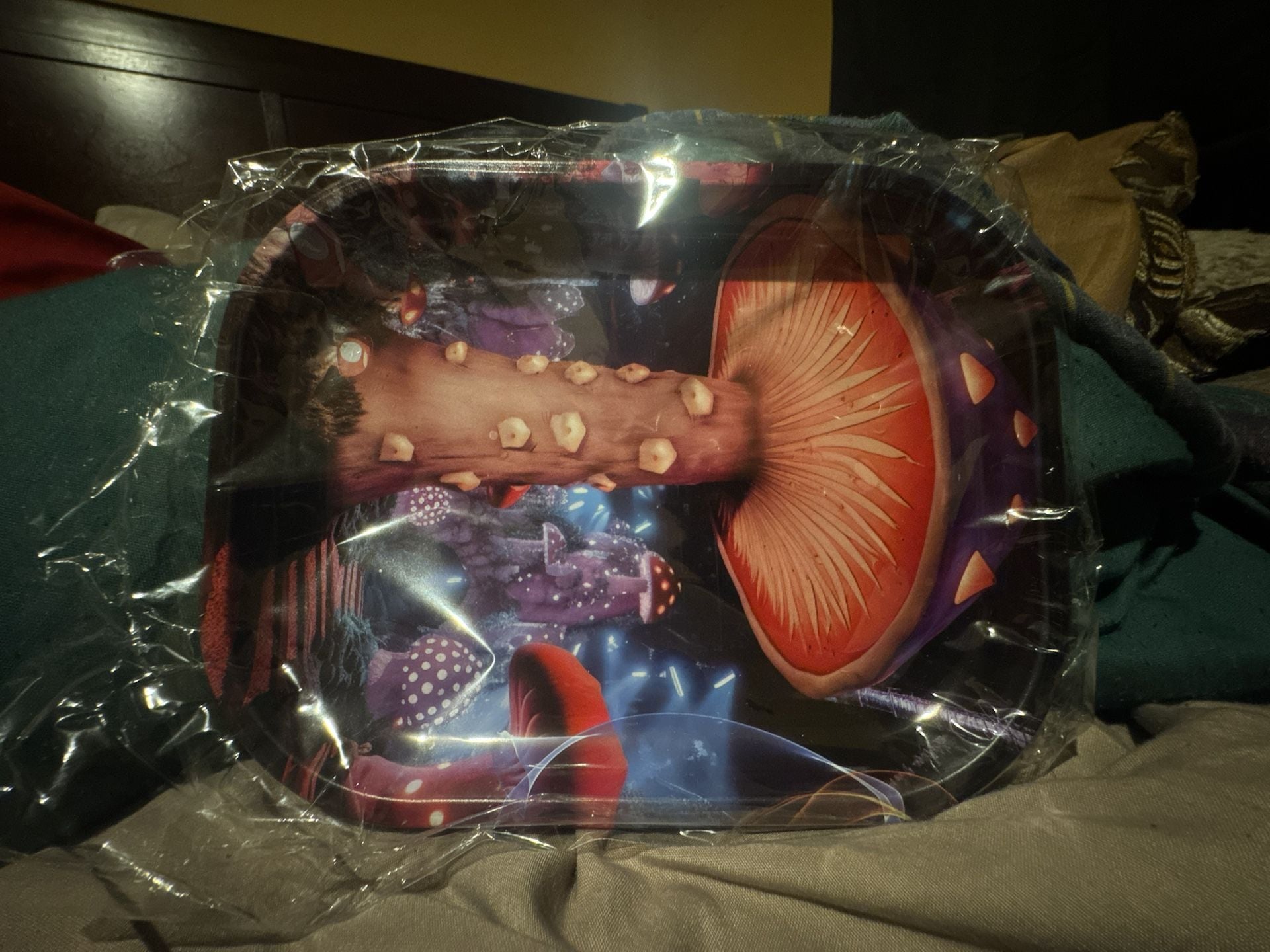 Fantasy Mushroom Forest Design Metal Rolling Tray 2