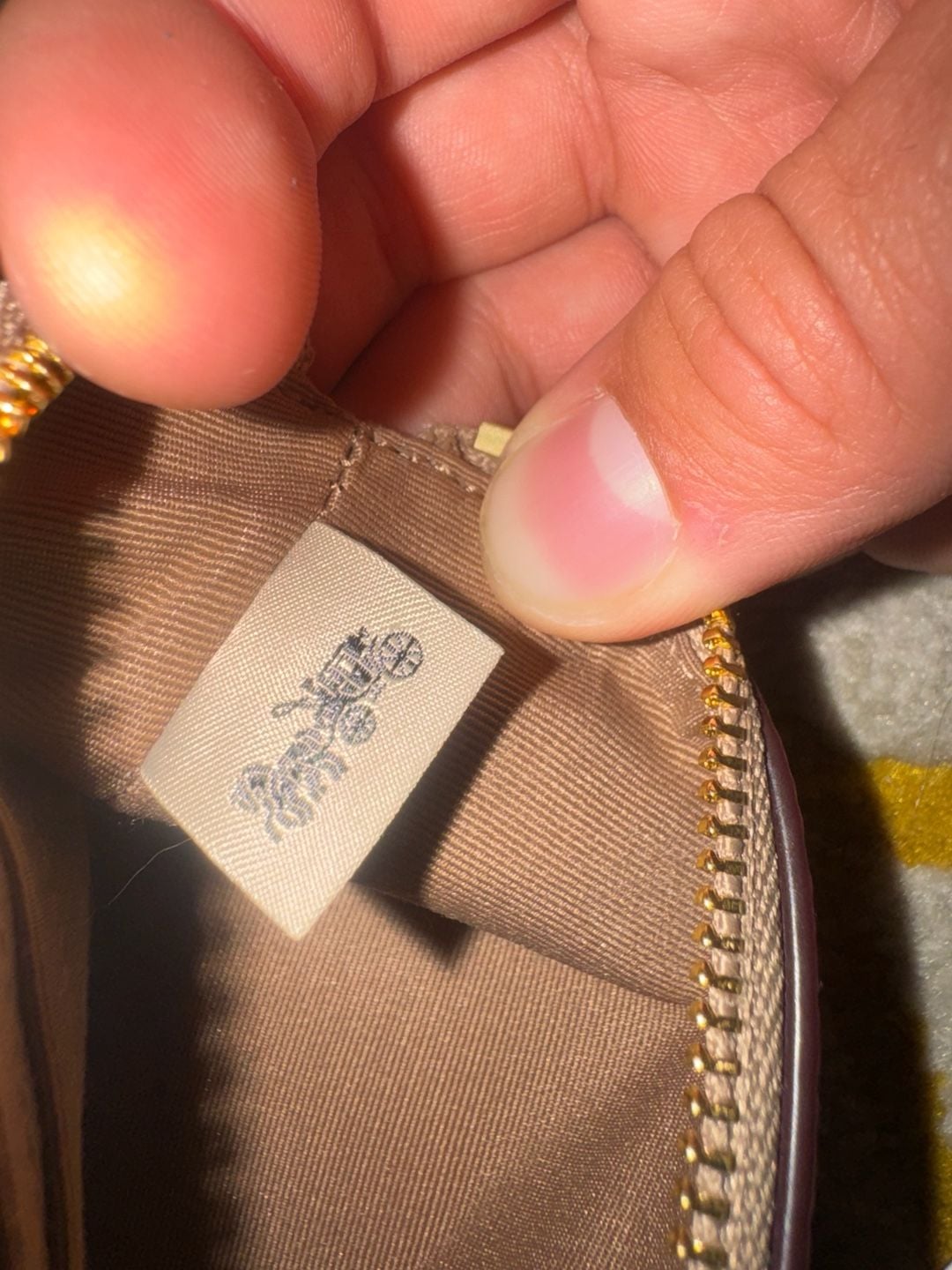 Coach Corner Zip Wristlet in Signature Canvas with Stripe (IM/Sand/Chalk) 10