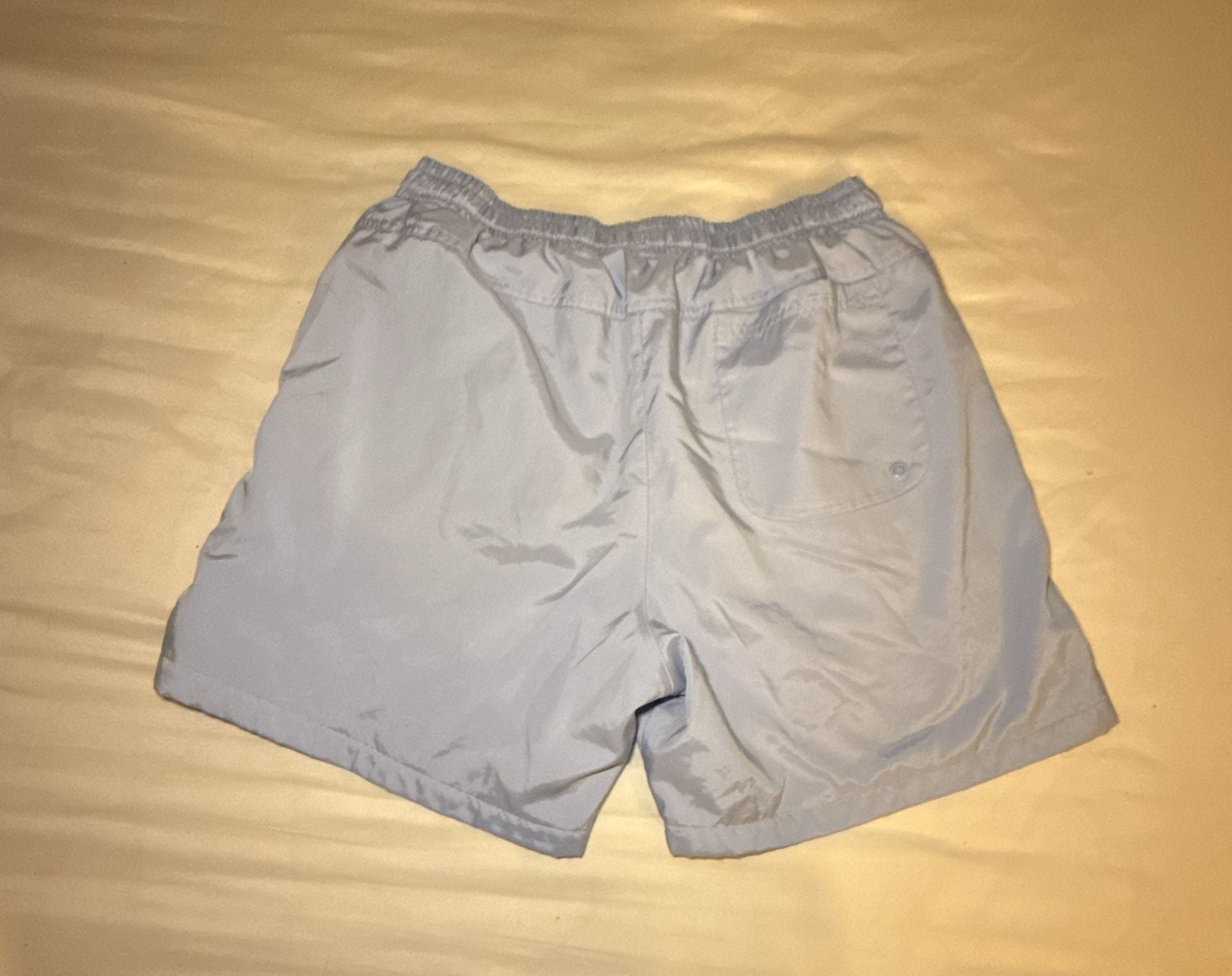 Nike Sportswear Club Woven Lined Flow Shorts in Light Blue 2