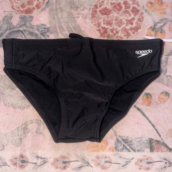 NWT Speedo Eco Endurance Pride Edition Rainbow Black Swim Brief size 34