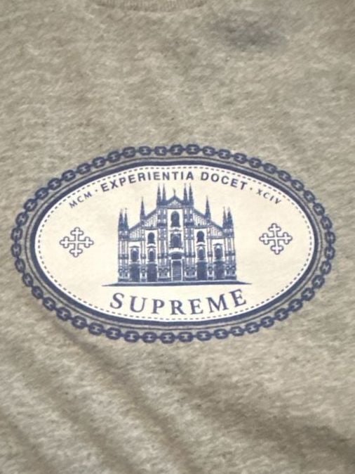 Supreme Experientia Tee Heather Grey FW21 2