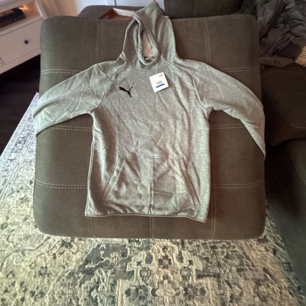PUMA Liga Casuals Youth XL Boys Grey Pullover Hoodie