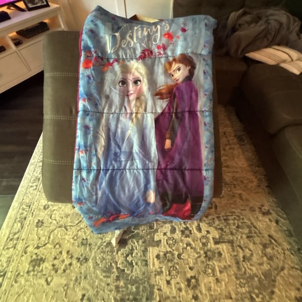 Disney Frozen II Kids Sleeping Bag