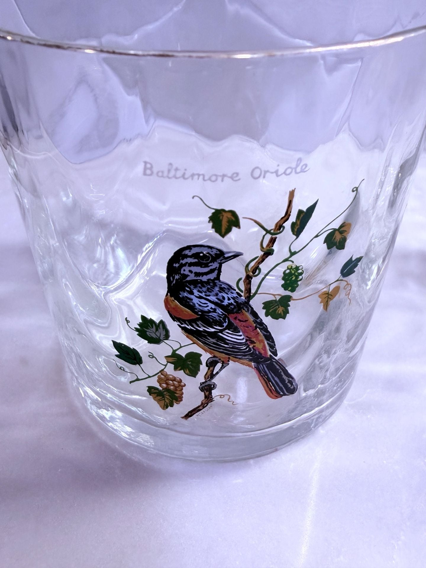2 Different M. Sargeant Beautiful Bird Tom Collins Highball Glasses Gold Trim 3