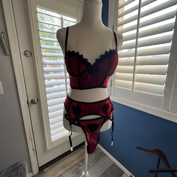 Red and Black Lace Trim Lingerie Bustier and Garter Set