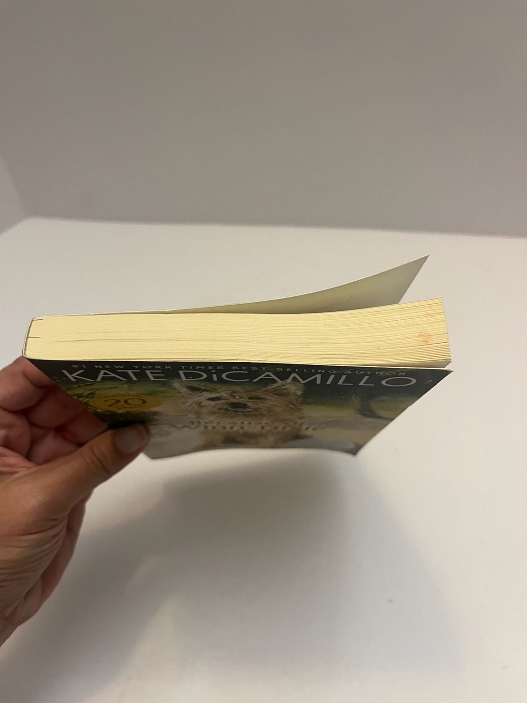 Because of Winn-Dixie by Kate DiCamillo (20th Anniversary Edition) 2