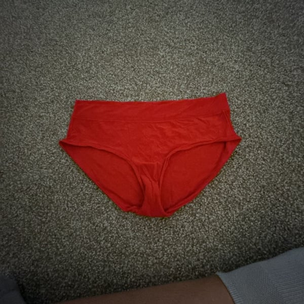 Aerie Smoothez by Aerie Boybrief Underwear