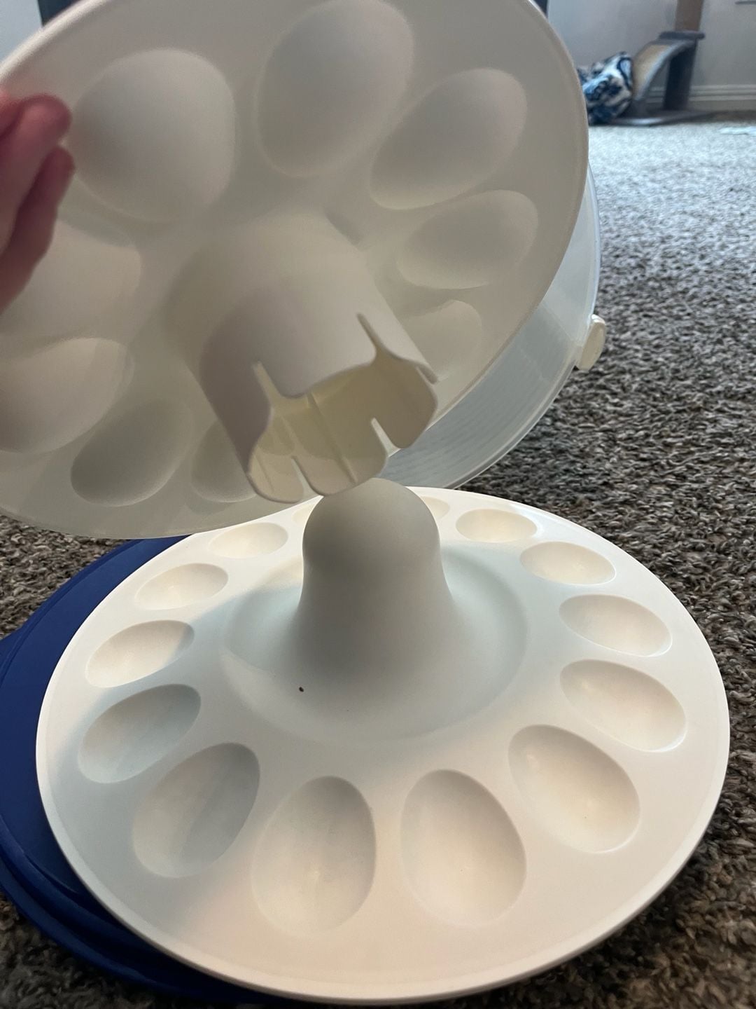 Tupperware Egg Taker and Deviled Egg Carrier with Blue Base and Clear Locking Lid 3