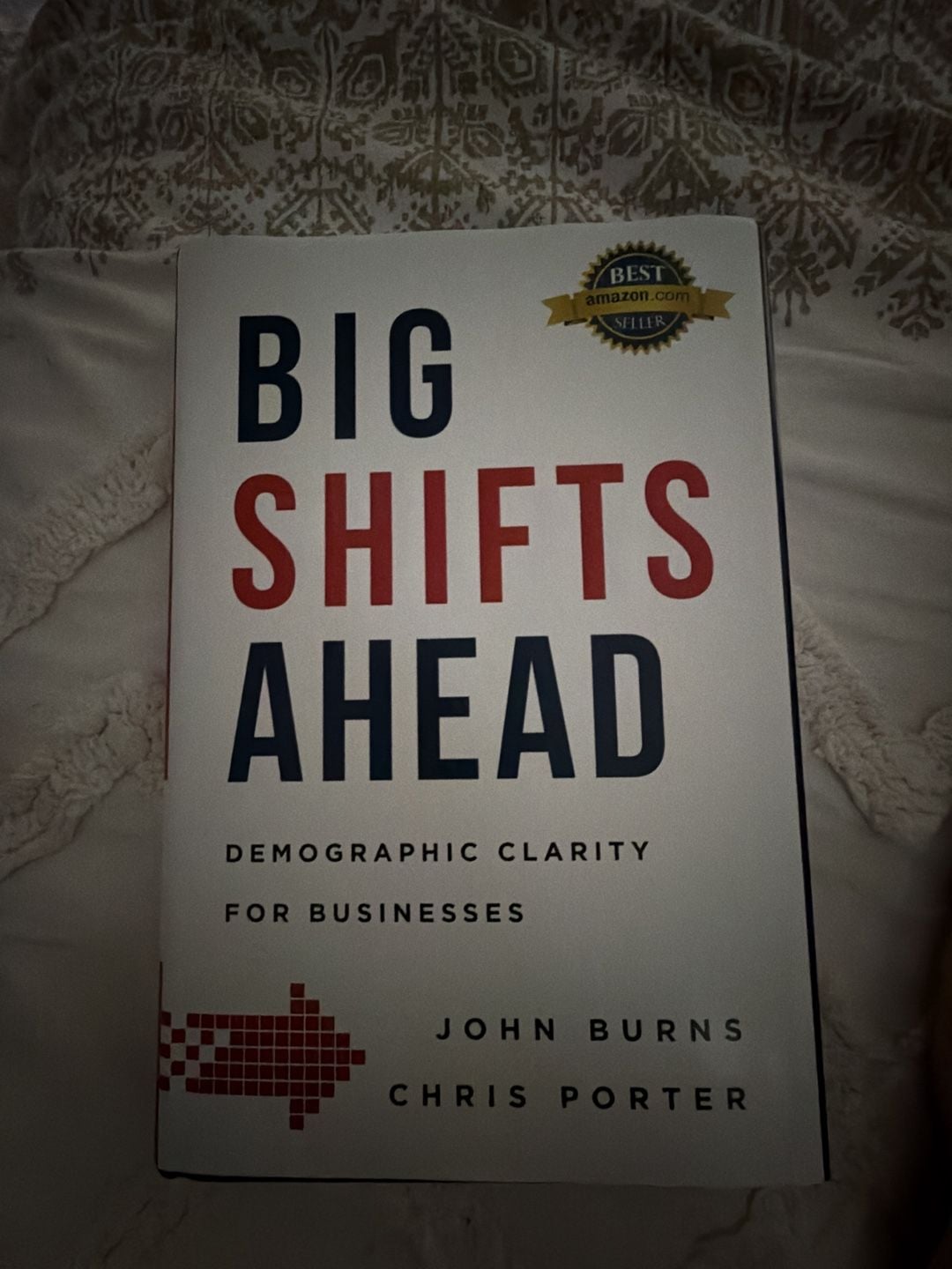 Big Shifts Ahead: Demographic Clarity for Business 1