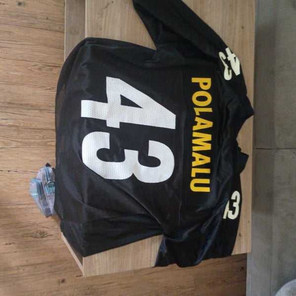 Pittsburgh Steelers Troy Polamalu #43 Reebok NFL Equipment Mesh Football Jersey