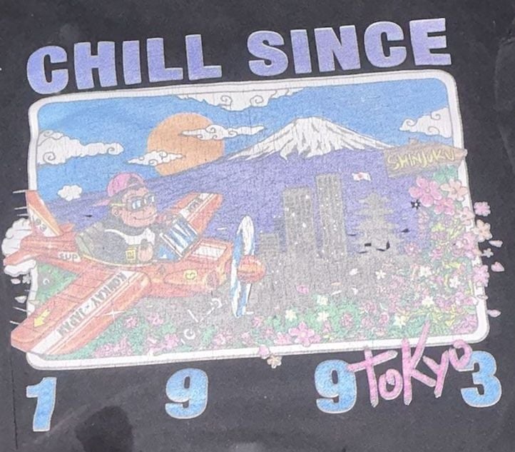 Brandy Melville Chill Since 1993 Tokyo Graphic Pullover Hoodie 3