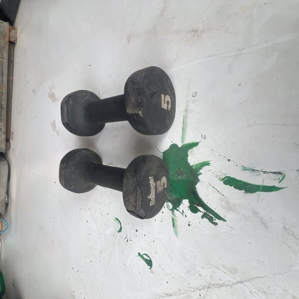 barbell weights Pair 5lbs. each