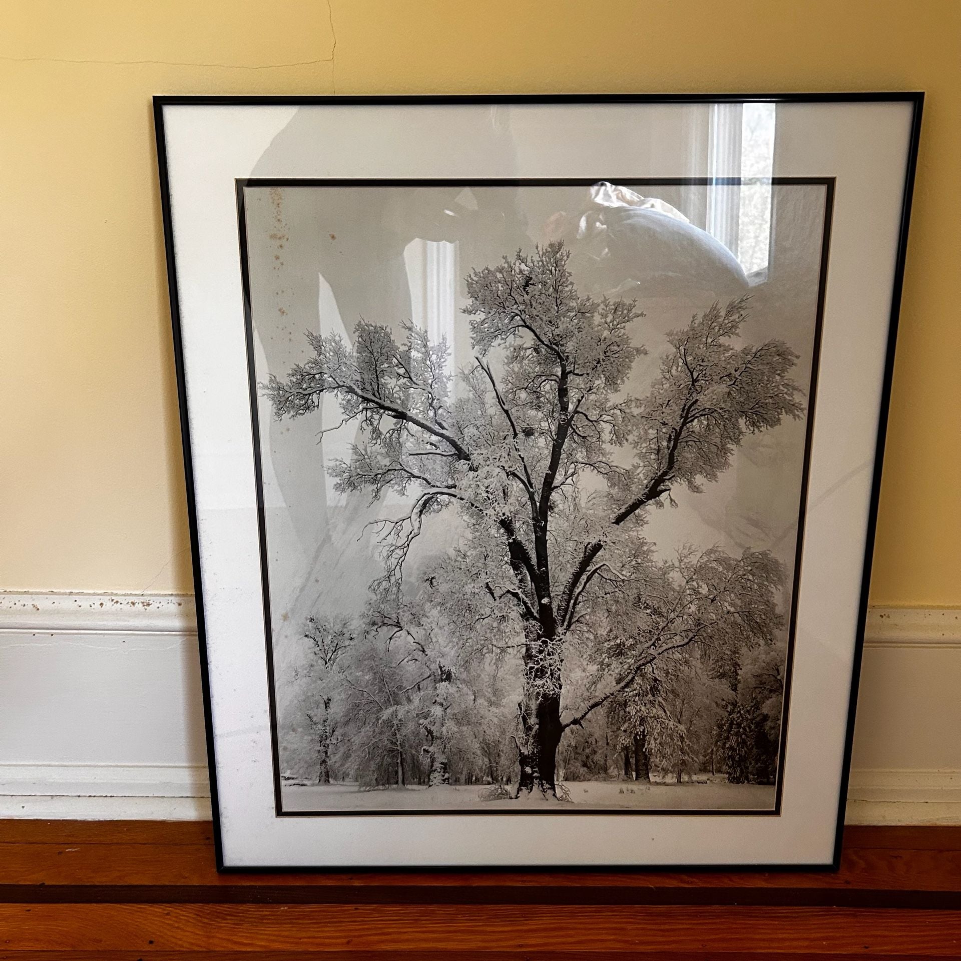 Ansel Adams Oak Tree Snowstorm Yosemite Framed Print 1