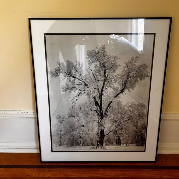 Ansel Adams Oak Tree Snowstorm Yosemite Framed Print