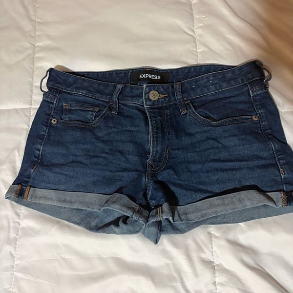 Express Stretch Performance Shortie Relaxed Low Rise Denim Shorts