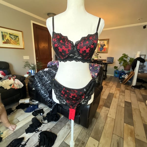 Black and Red Lace Bra - ,