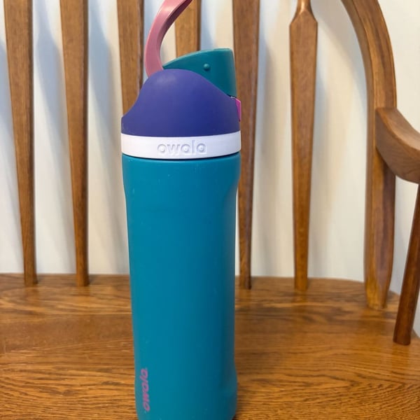 Owala FreeSip 24oz Insulated Stainless Steel Water Bottle Teal Purple