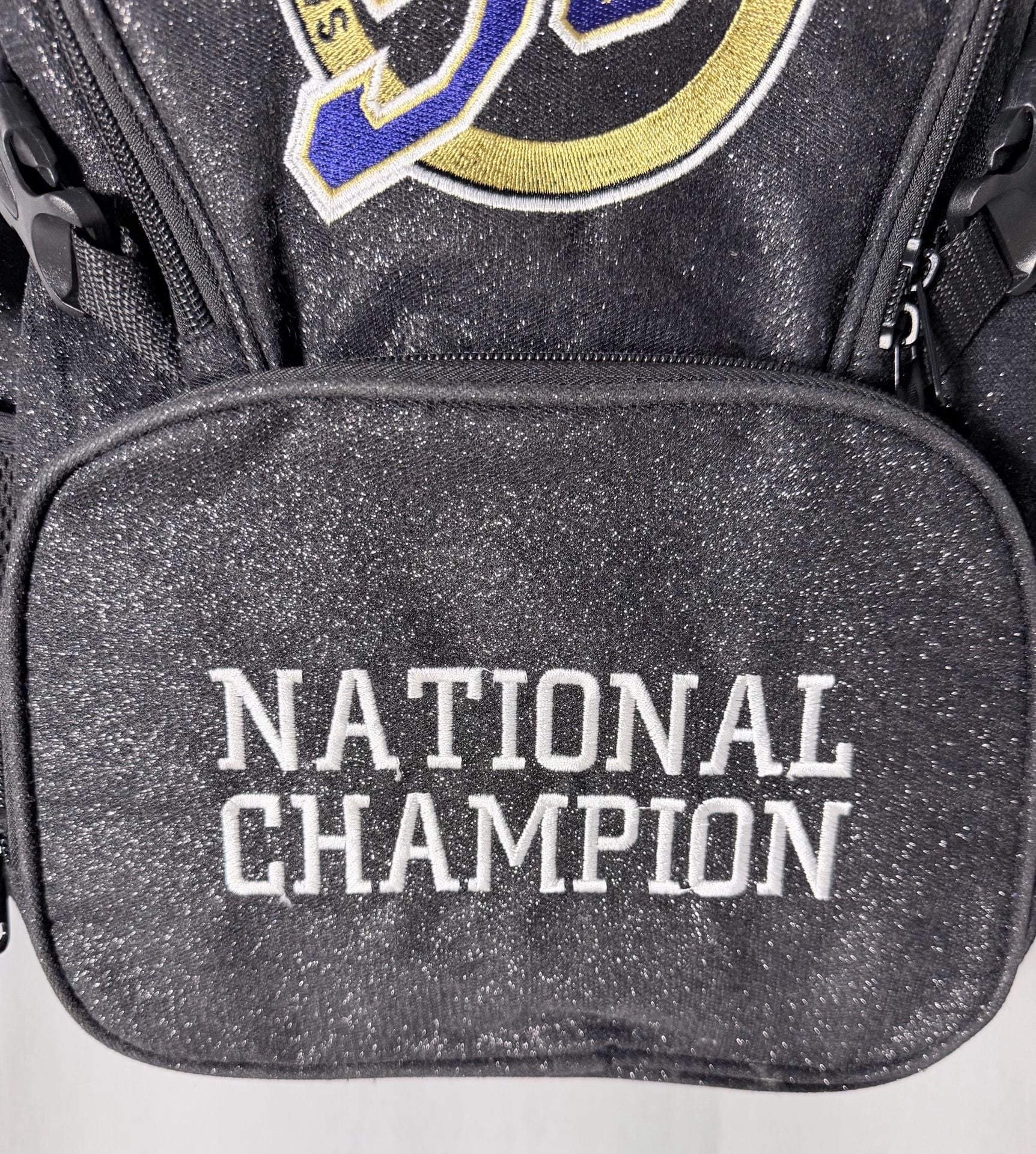 Spirit Celebration SC National Champion Glitter Backpack 4