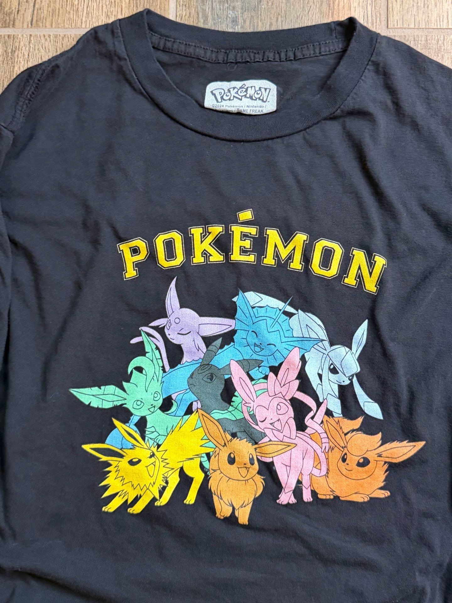 Pokémon Eeveelutions Group Graphic Long Sleeve T-Shirt 1
