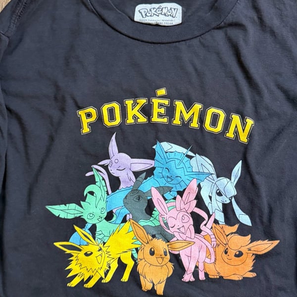 PokΓ©mon Eeveelutions Group Graphic Long Sleeve T-Shirt