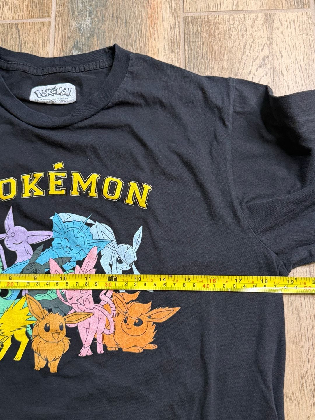 Pokémon Eeveelutions Group Graphic Long Sleeve T-Shirt 4