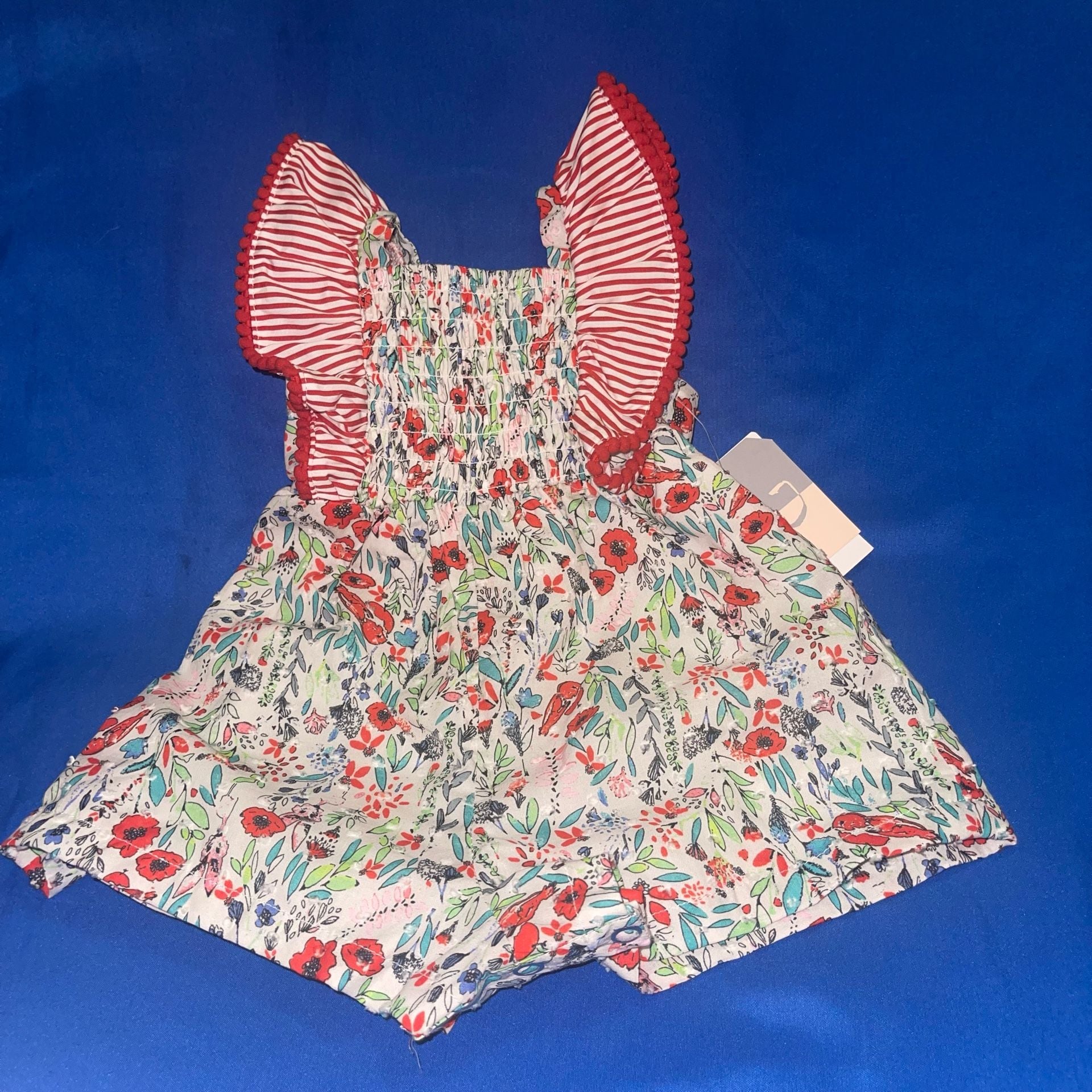 Pastourelle by Pippa & Julie Floral Striped Ruffle Romper Sz 3-6 Months NWT 2