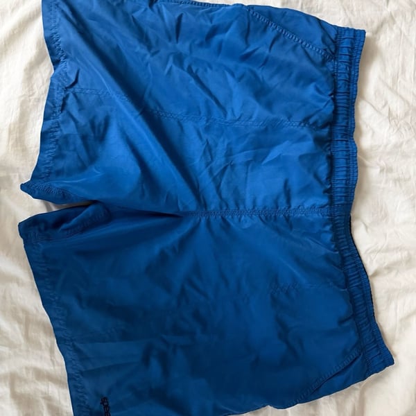 Speedo Men's Blue Nylon Swim Trunks with Mesh Lining