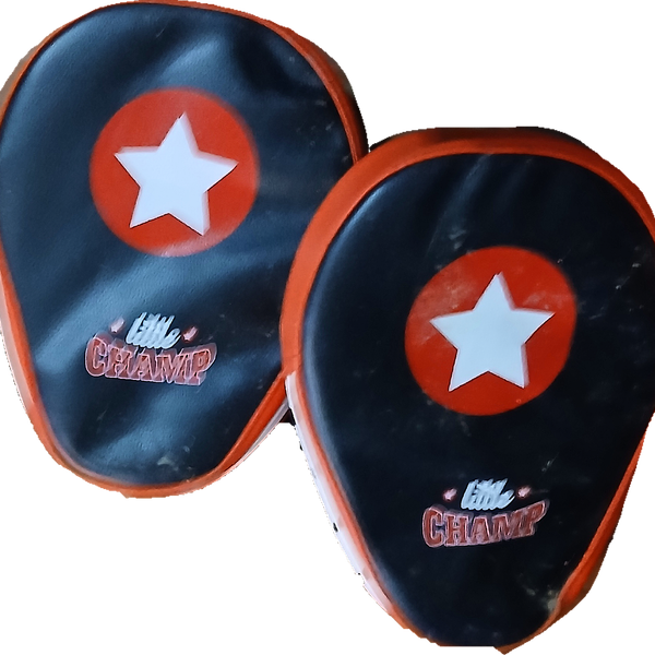 Little Champ Boxing Focus Pads Training Mitts