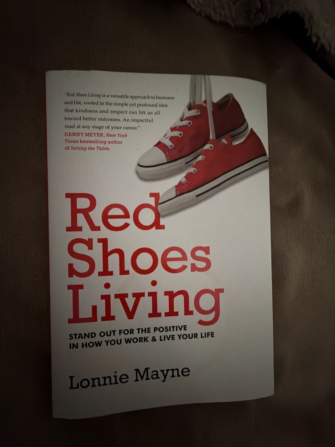 Red Shoes Living: Stand Out for the Positive in How You Work & Live Your Life. 1