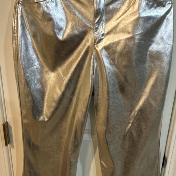 Wild Fable Metallic Silver Faux Leather Pants