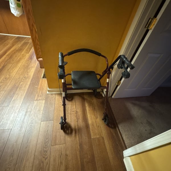 ProBasics Economy Steel Rollator with 6-inch Wheels and Padded Seat, Burgundy