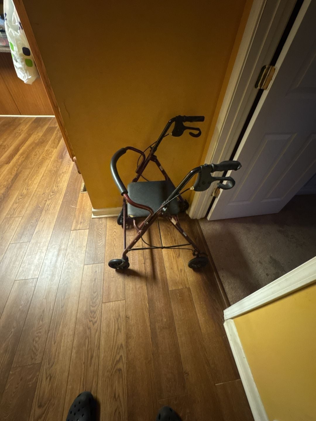 ProBasics Economy Steel Rollator with 6-inch Wheels and Padded Seat, Burgundy 2