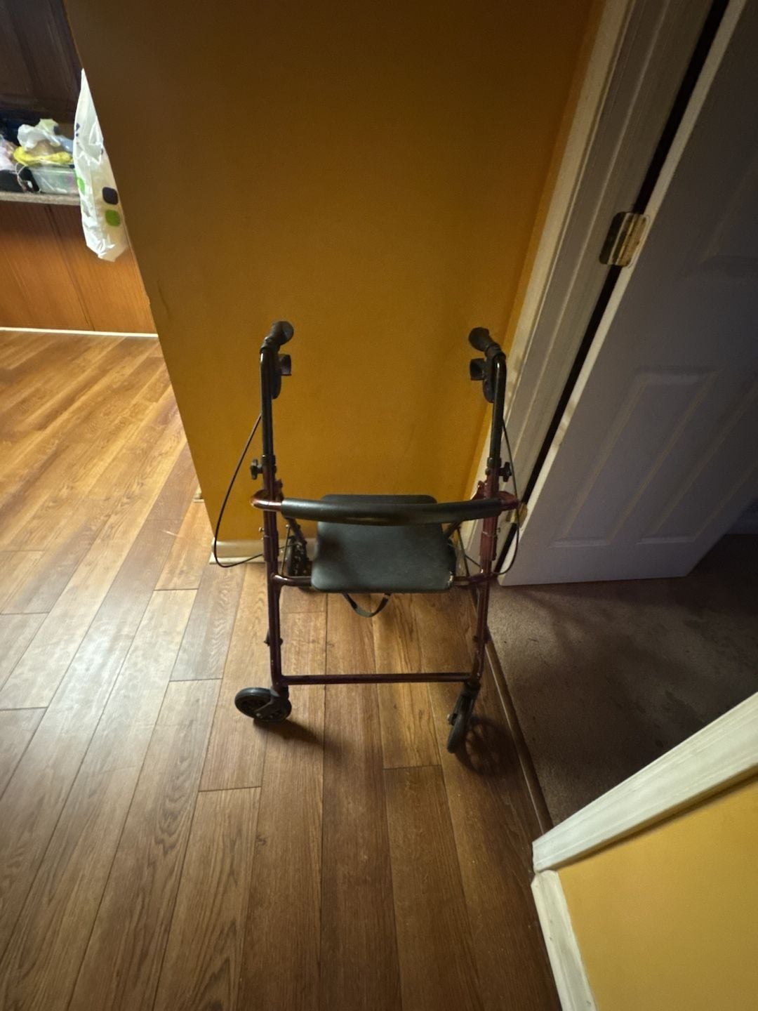 ProBasics Economy Steel Rollator with 6-inch Wheels and Padded Seat, Burgundy 3