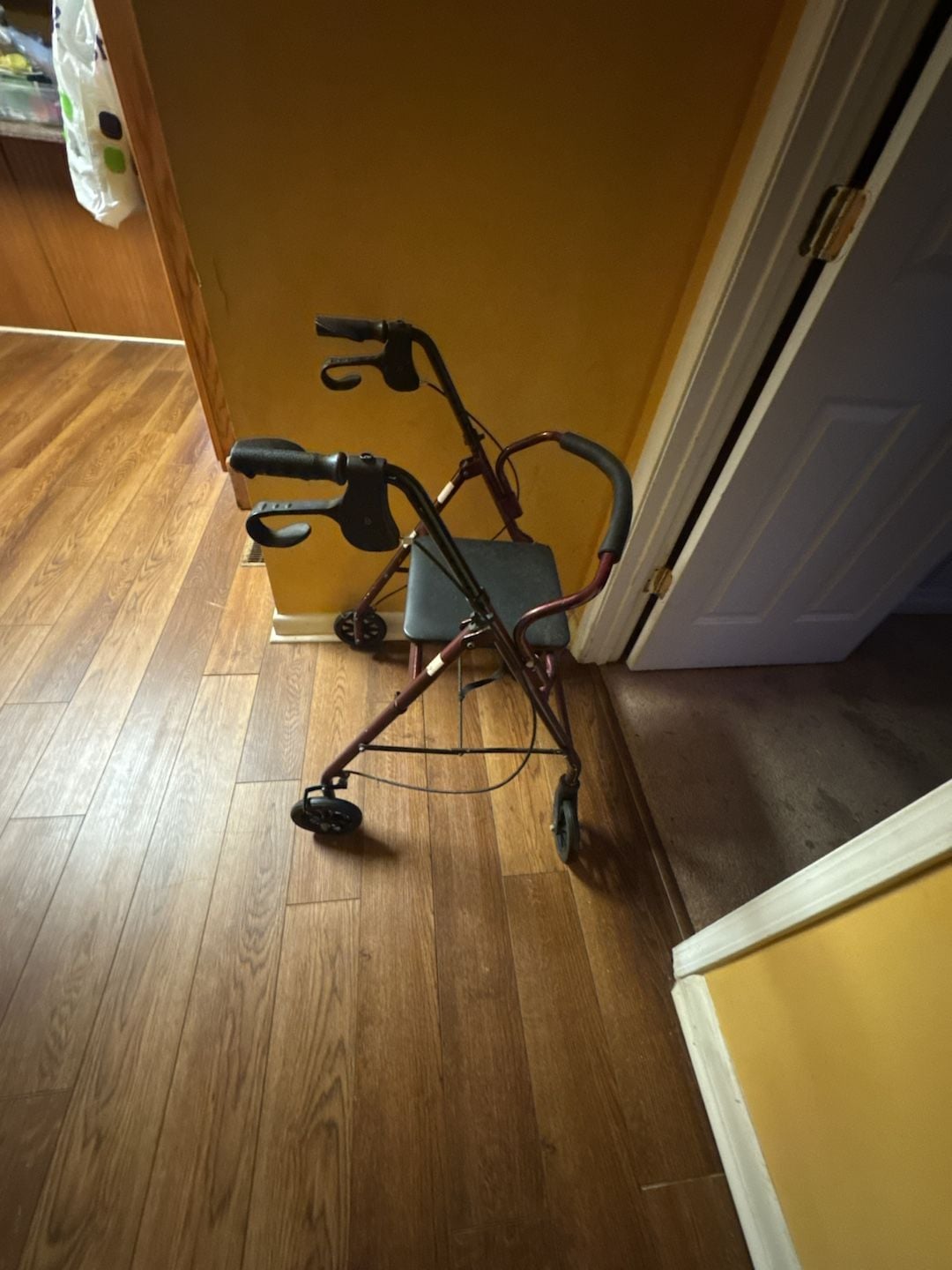 ProBasics Economy Steel Rollator with 6-inch Wheels and Padded Seat, Burgundy 4