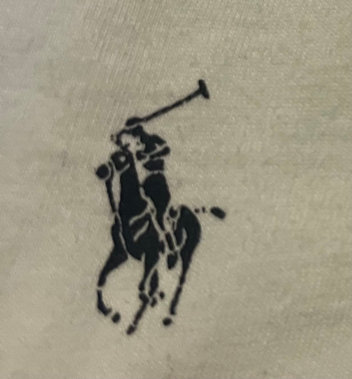 Polo Ralph Lauren Classic Fit Graphic Logo T-Shirt 4