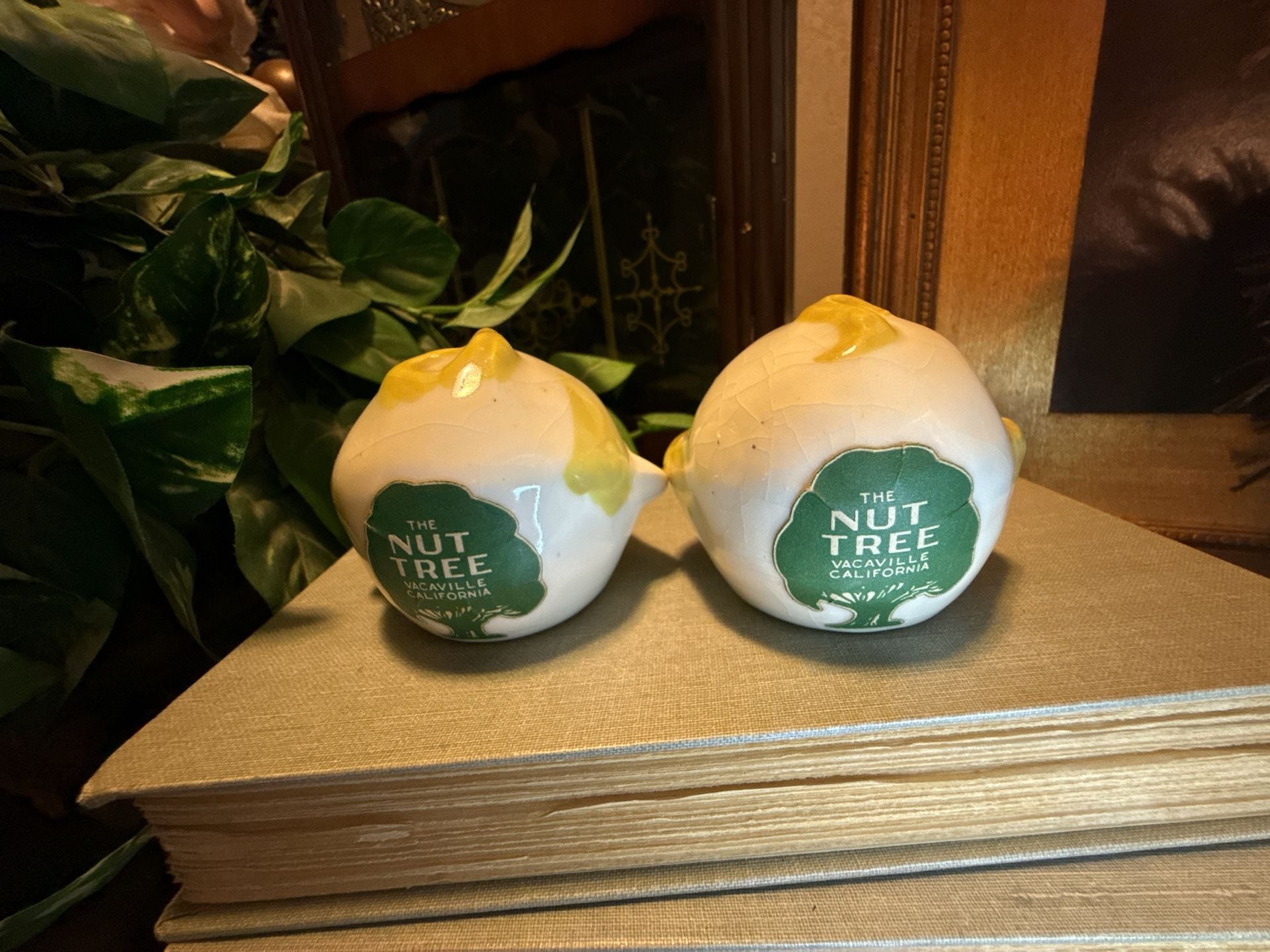 Vintage Nut Tree Vacaville California Baby Face Salt & Pepper Shakers – Mid-Century Souvenir – Original Nut Tree Labels 3