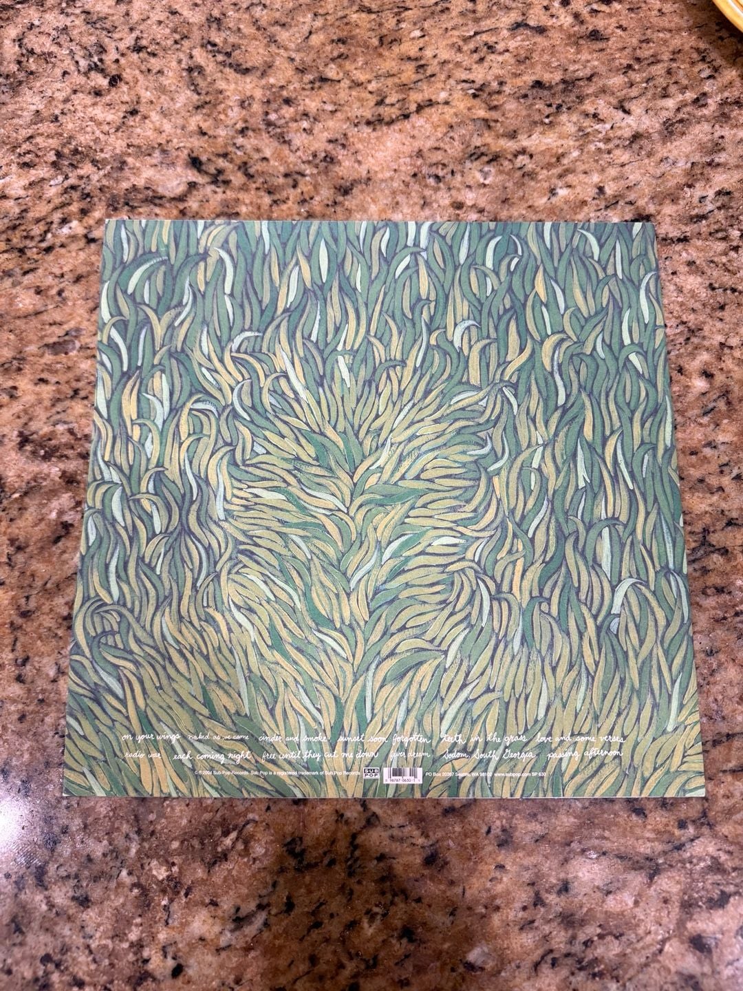 Iron & Wine - Our Endless Numbered Days Vinyl LP 2