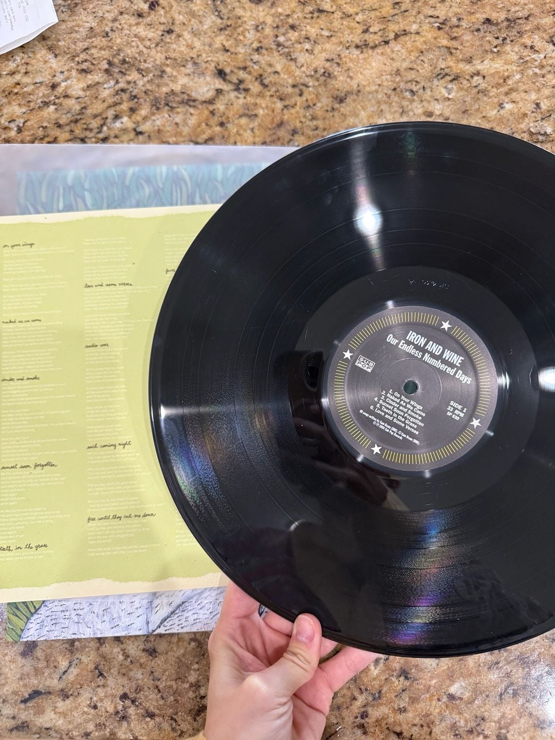 Iron & Wine - Our Endless Numbered Days Vinyl LP 3
