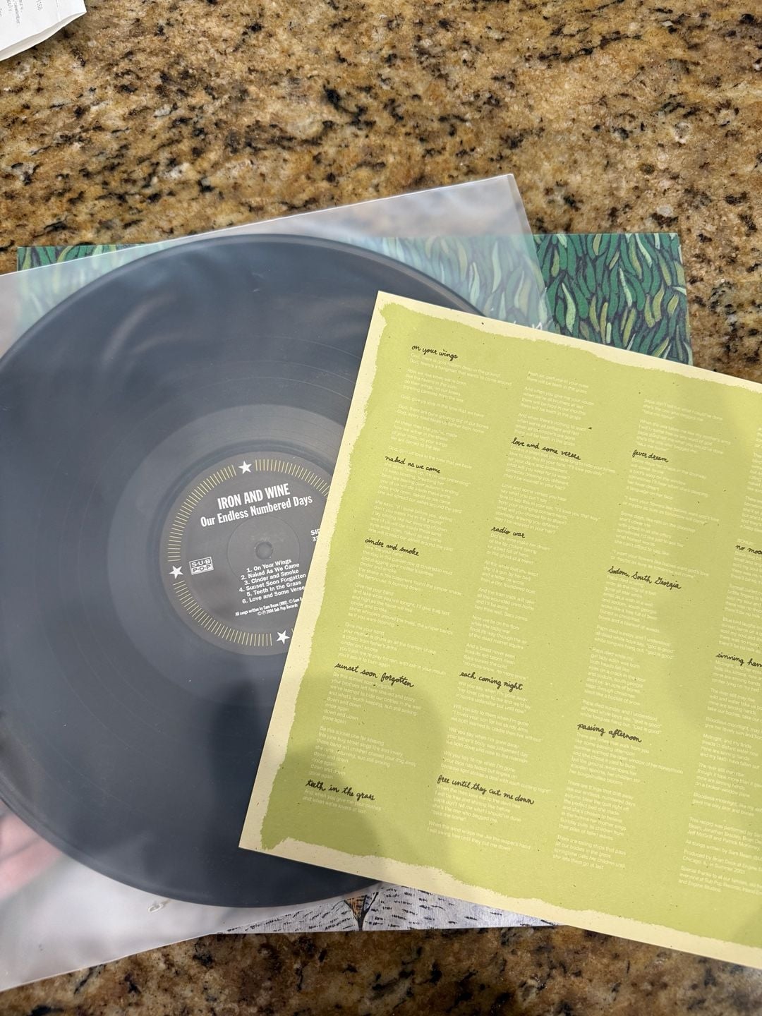 Iron & Wine - Our Endless Numbered Days Vinyl LP 4