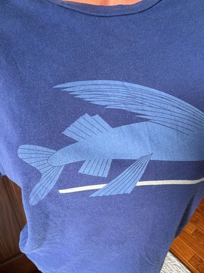 Patagonia Flying Fish Graphic Organic Cotton Slim Fit T-Shirt 6